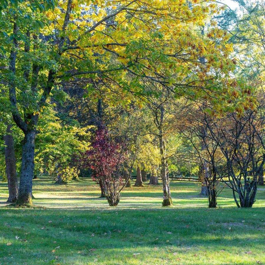זנקט אנדריאסברג Ferienwohnung "Am Kurpark" מראה חיצוני תמונה